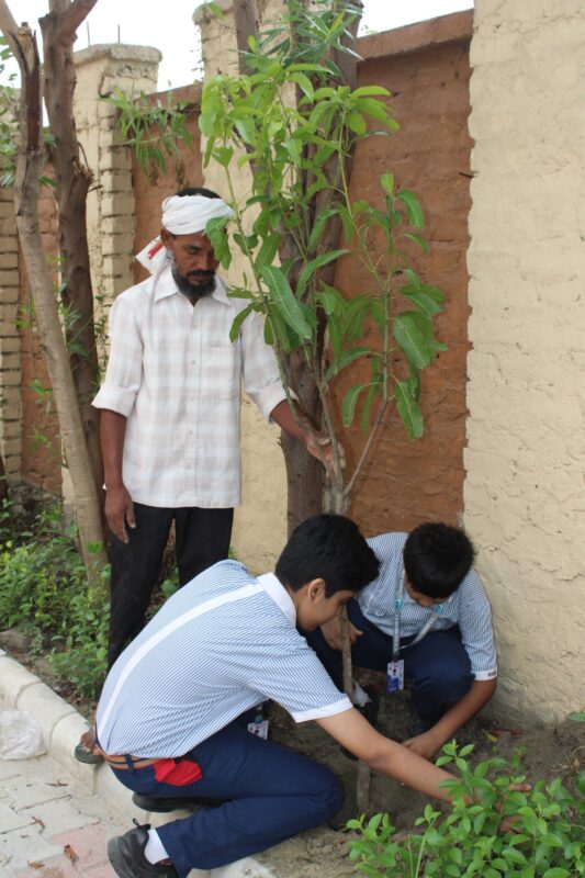 Plantation Drive by Eco Clu'10
