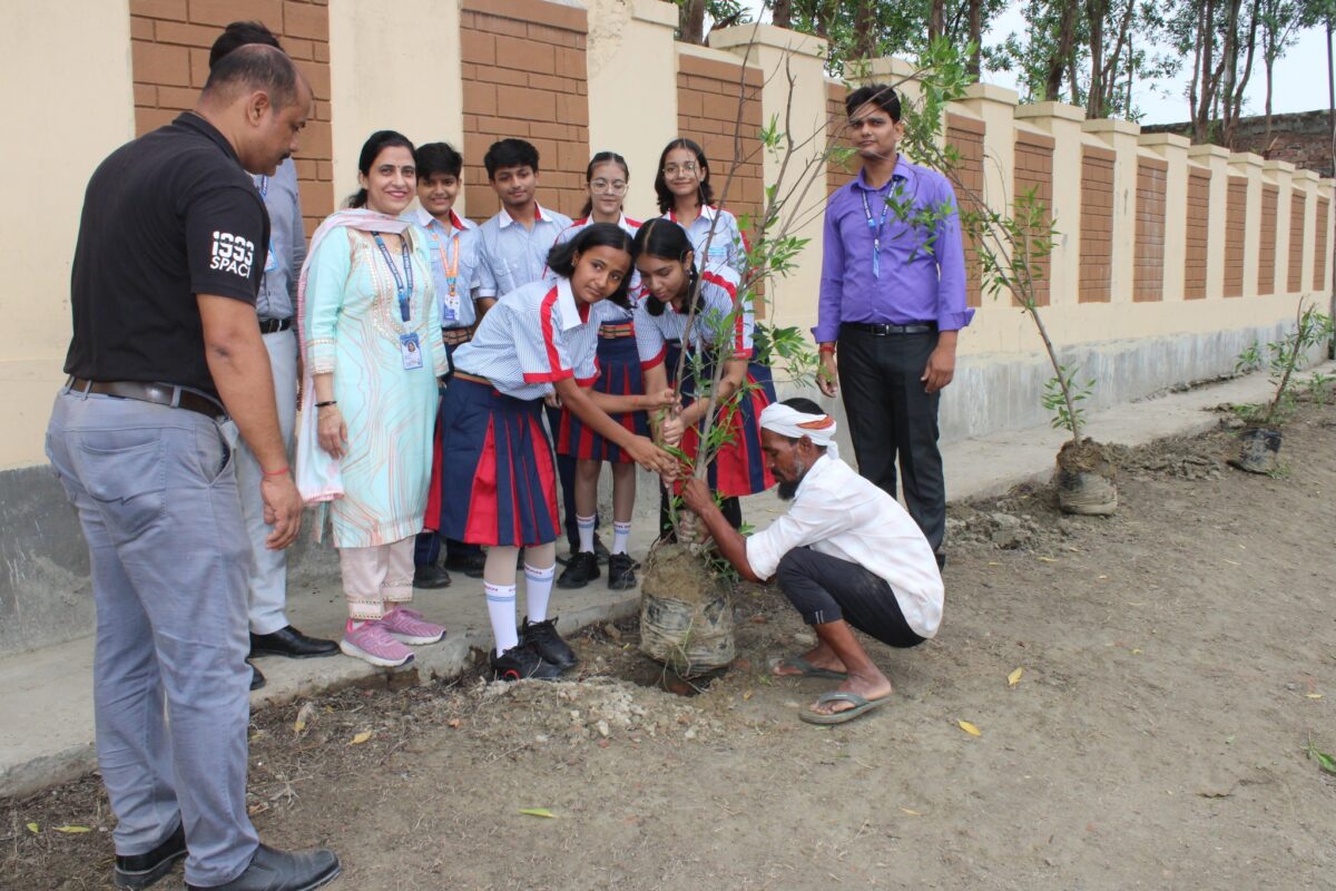 Plantation Drive by Eco Clu'3