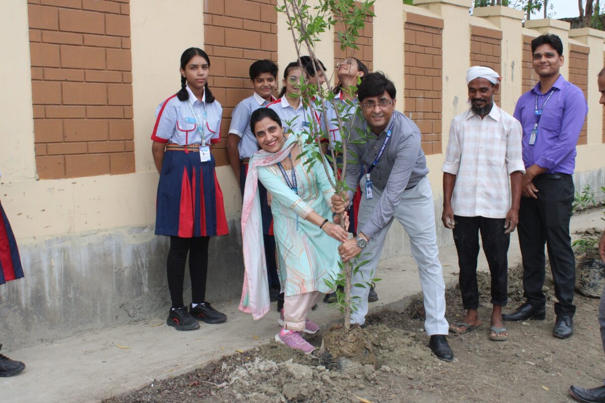 Plantation Drive by Eco Clu'5