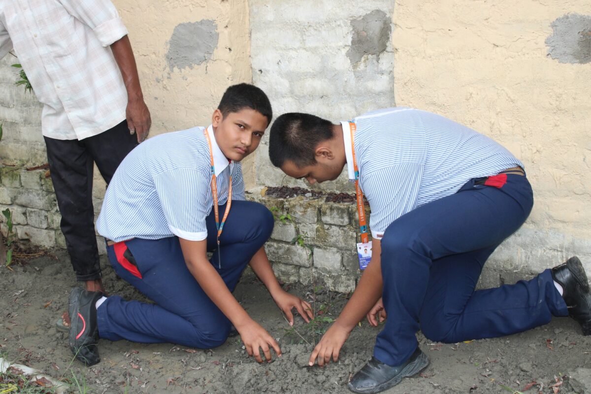 Plantation Drive by Eco Clu'8